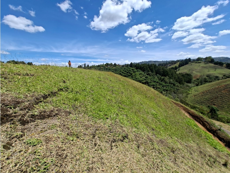 Venta de Lote N°16 en Parcelación Natura Arrayanes — foto 2