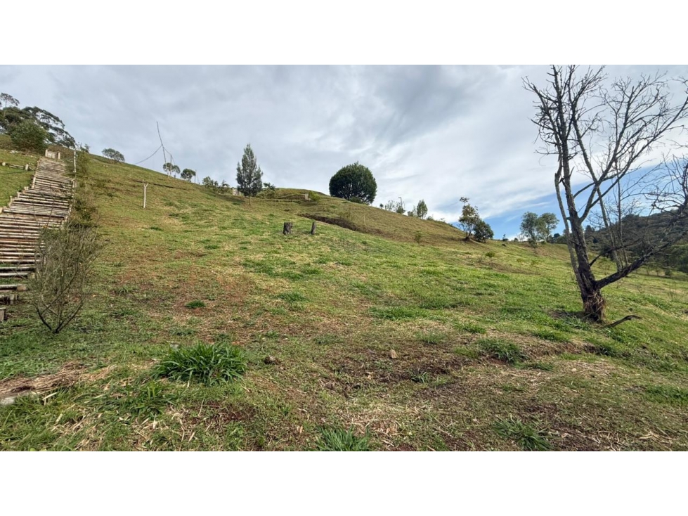 Venta de Lote N°15 en Parcelación Natura Arrayanes — foto 2