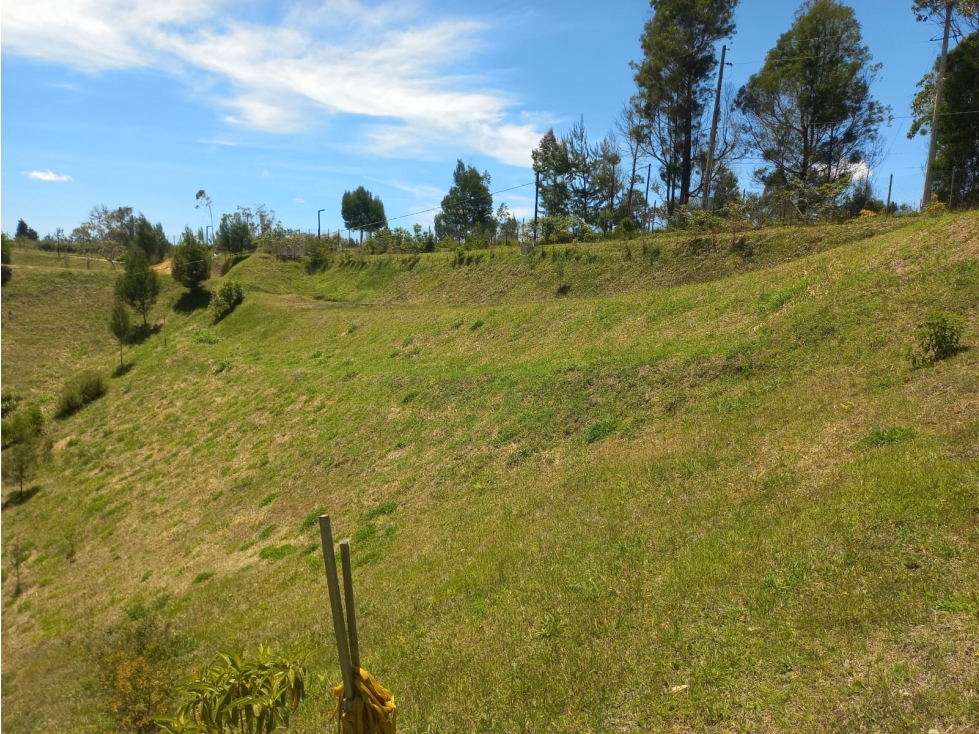 Venta de Lote N°6 en Parcelación Natura Arrayanes — foto 2