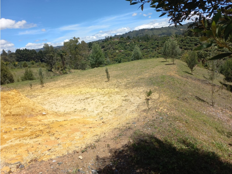 Venta de Lote N°7 en Parcelación Natura Arrayanes — foto 3