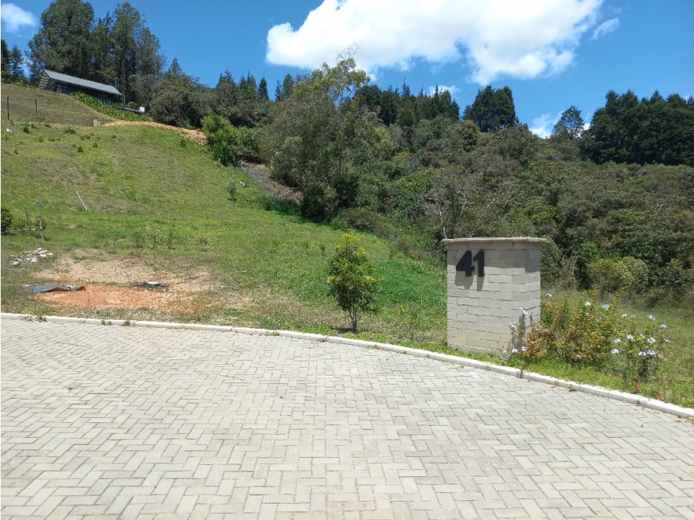 Venta de Lote N°41 en Parcelación Natura Arrayanes — foto 2