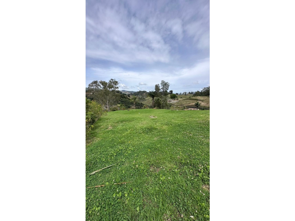 Venta de Lote N°5 en Parcelación Natura Arrayanes — foto 3