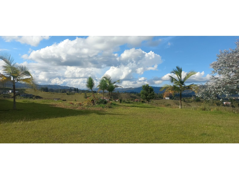 Venta Lote N° B7 Parcelación Pontevedra — foto 2