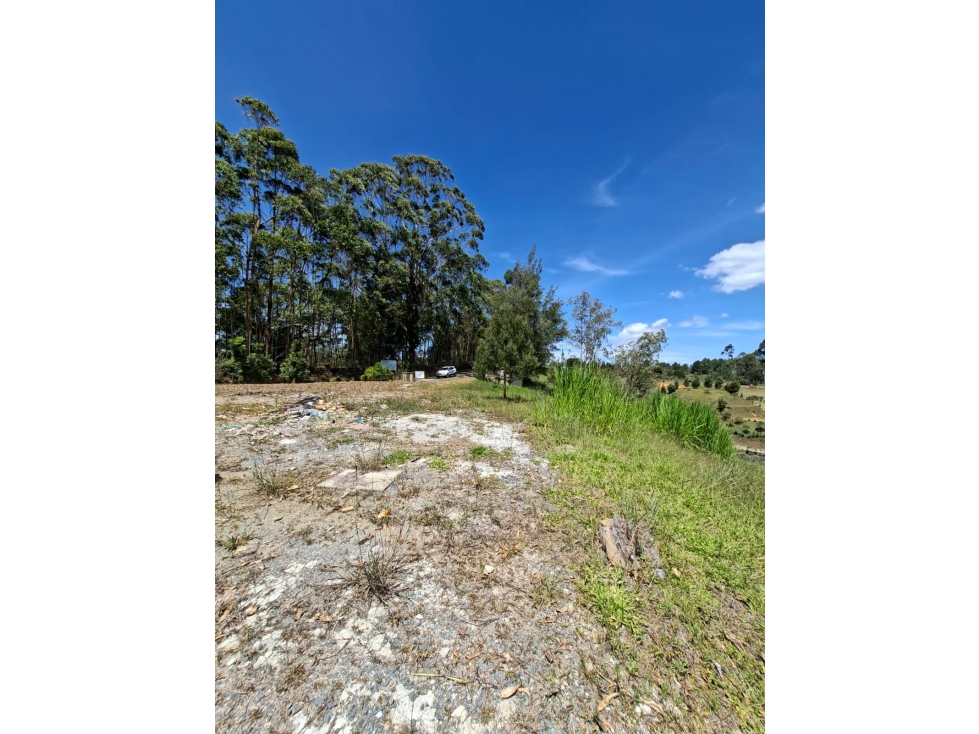Venta de Lote N°12 en Parcelación Natura Arrayanes — foto 3
