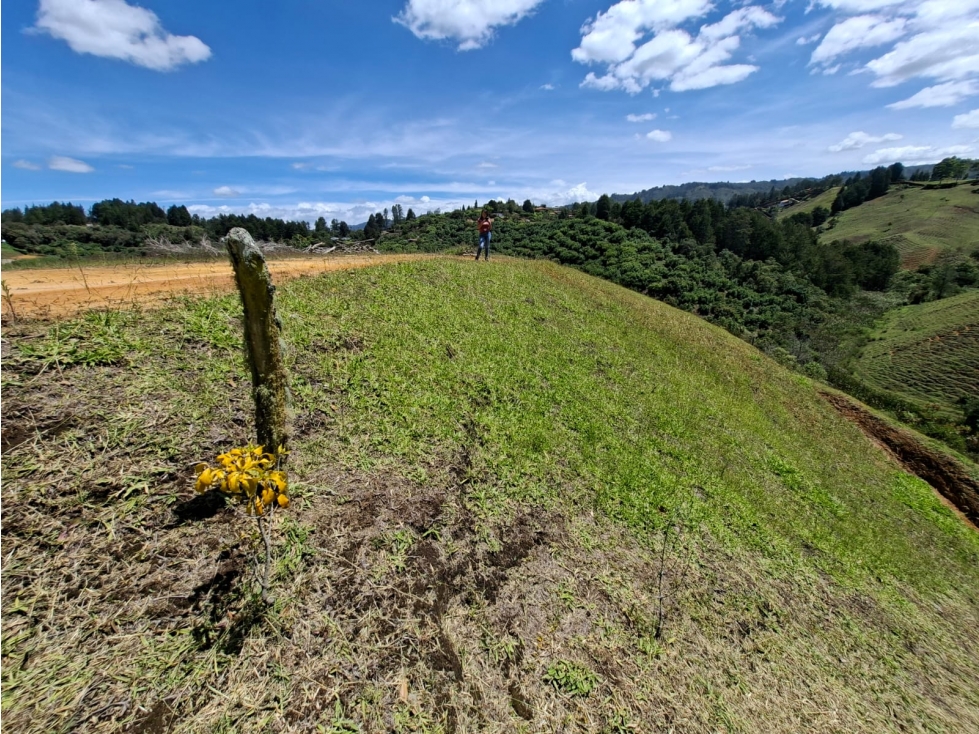 Venta de Lote N°16 en Parcelación Natura Arrayanes — foto 3