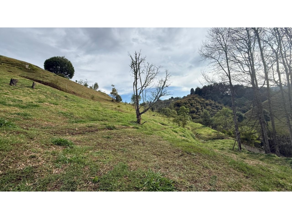 Venta de Lote N°15 en Parcelación Natura Arrayanes — foto 3