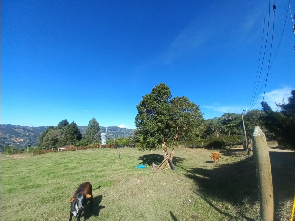 Lotes independientes - Vereda San Isidro Guarne desde $320.000.000 — foto 4