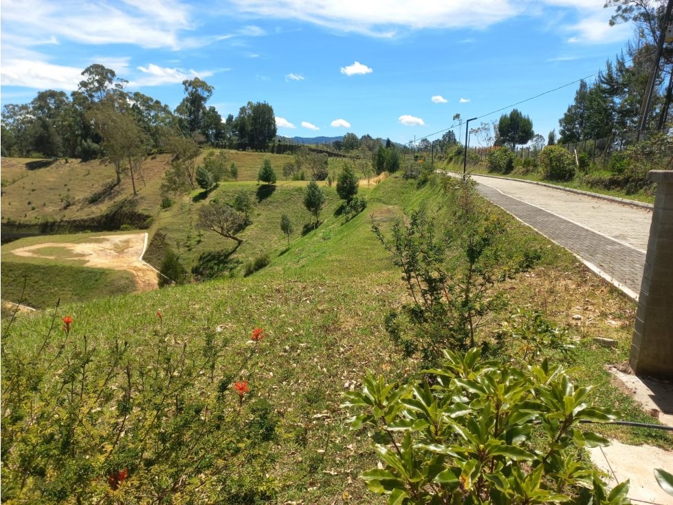 Venta de Lote N°6 en Parcelación Natura Arrayanes — foto 3
