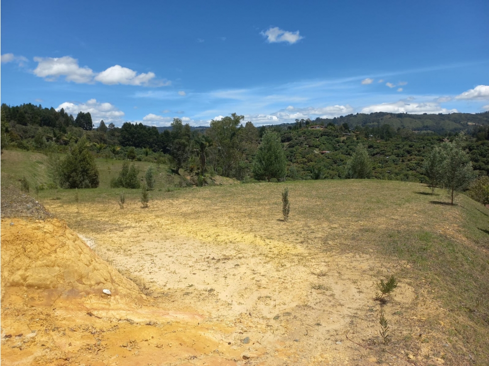 Venta de Lote N°7 en Parcelación Natura Arrayanes — foto 4