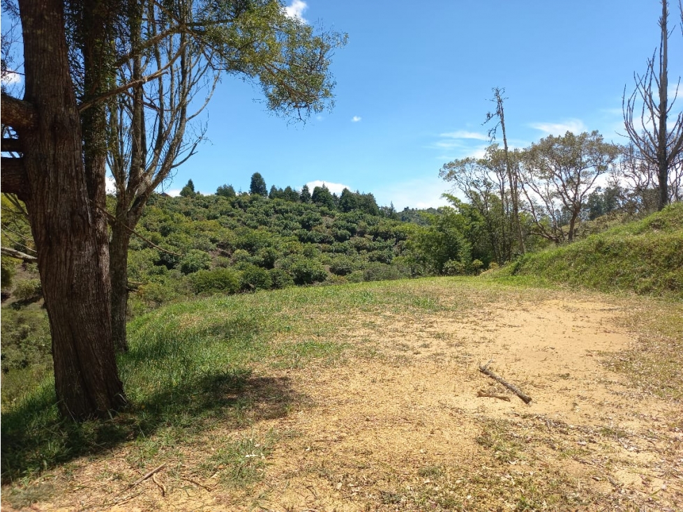 Venta de Lote N°37 en Parcelación Natura Arrayanes — foto 3