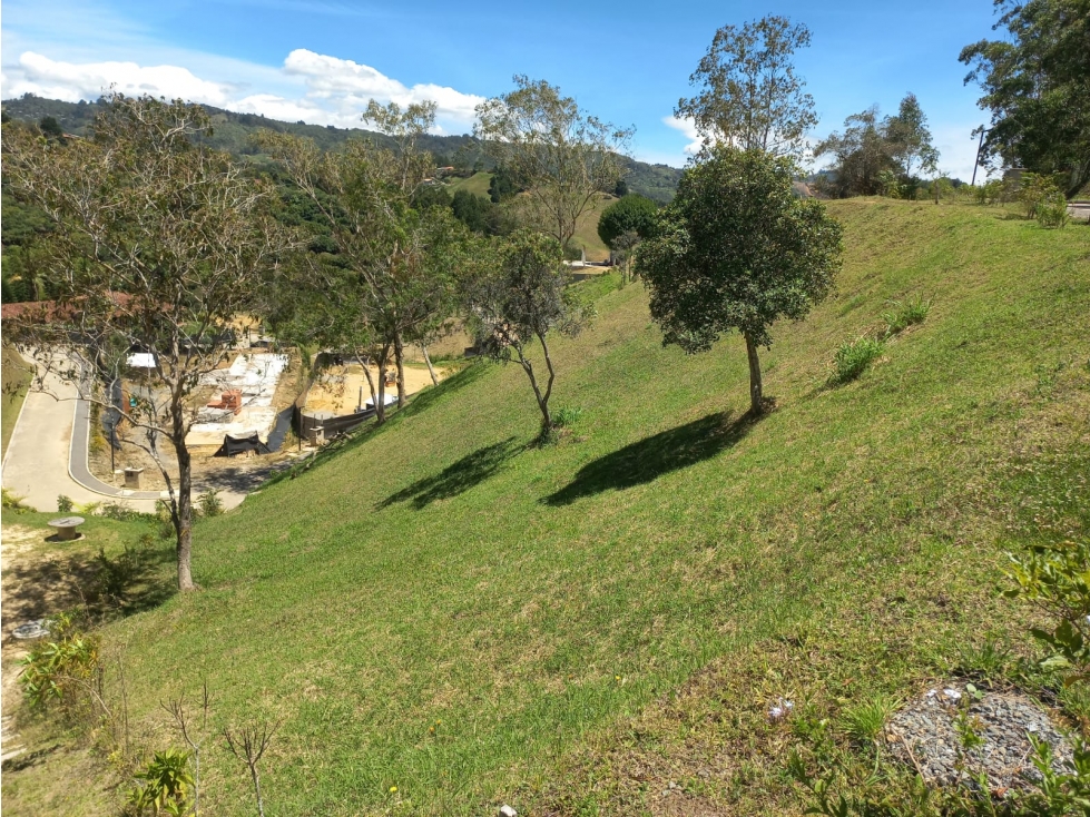 Venta de Lote N°9 en Parcelación Natura Arrayanes — foto 4