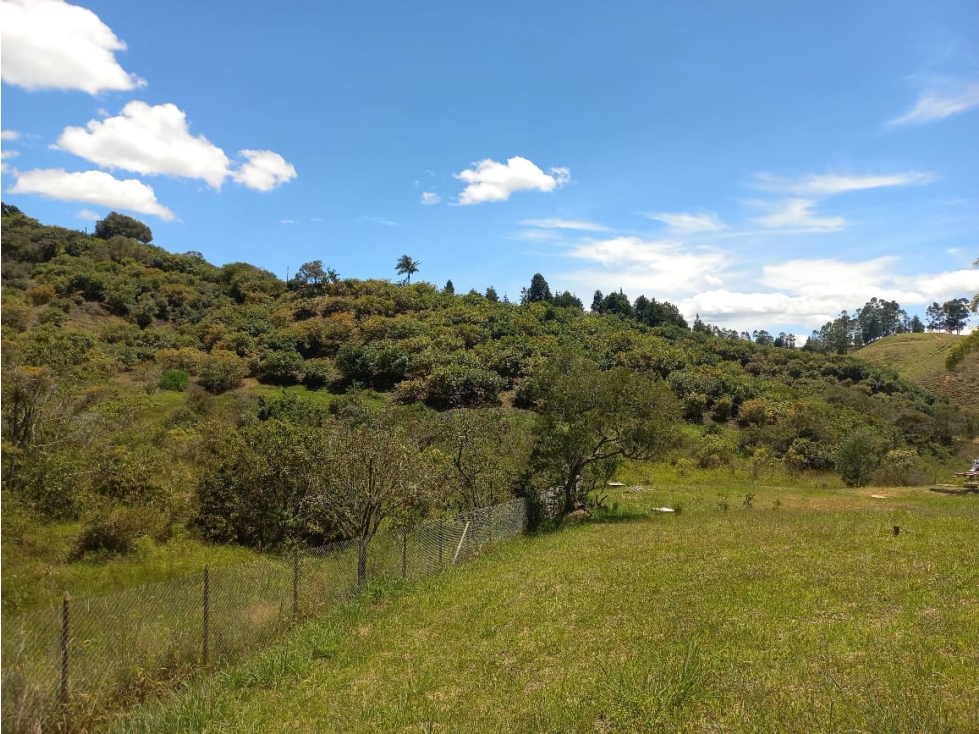 Venta de Lote N°41 en Parcelación Natura Arrayanes — foto 3