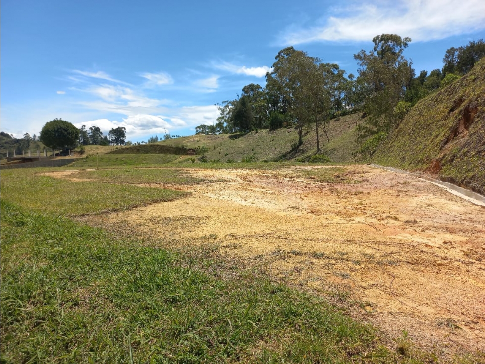 Venta de Lote N°32 en Parcelación Natura Arrayanes — foto 3
