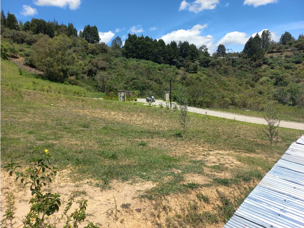 Venta de Lote N°39 en Parcelación Natura Arrayanes — foto 2