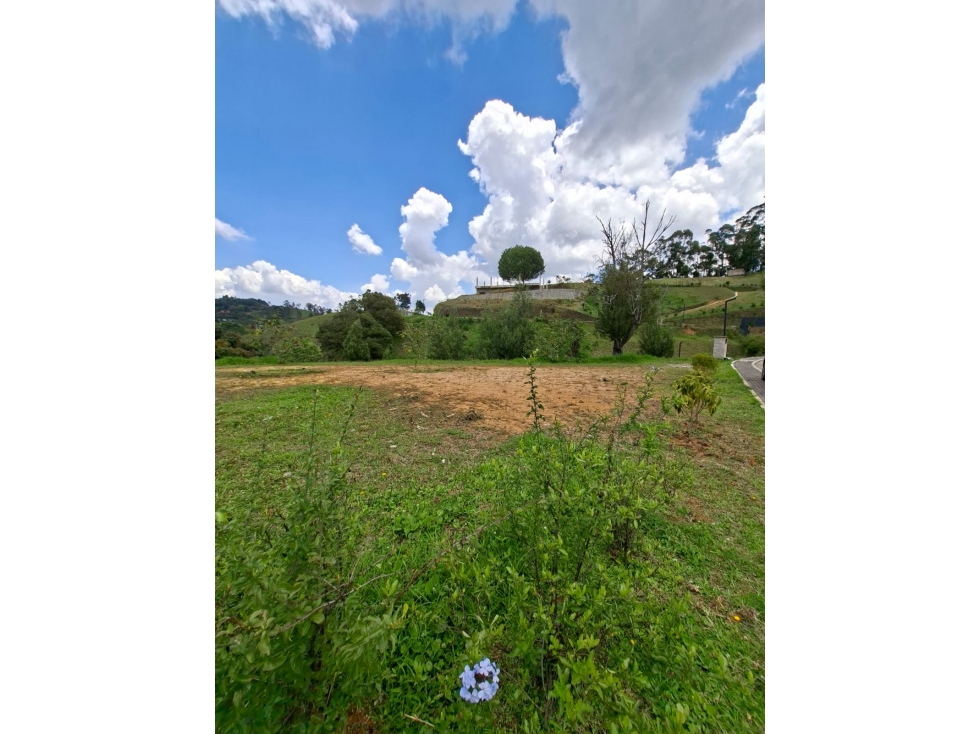 Venta de Lote N°28 en Parcelación Natura Arrayanes — foto 4