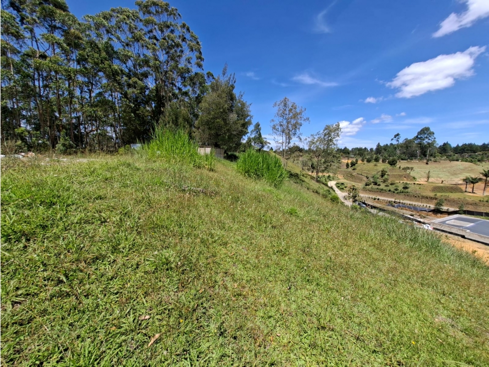 Venta de Lote N°12 en Parcelación Natura Arrayanes — foto 4