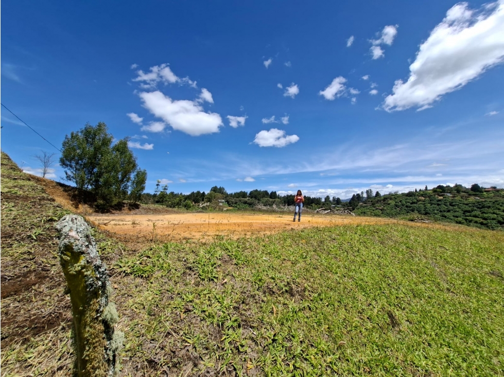 Venta de Lote N°16 en Parcelación Natura Arrayanes — foto 4