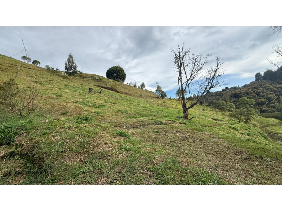Venta de Lote N°15 en Parcelación Natura Arrayanes — foto 4