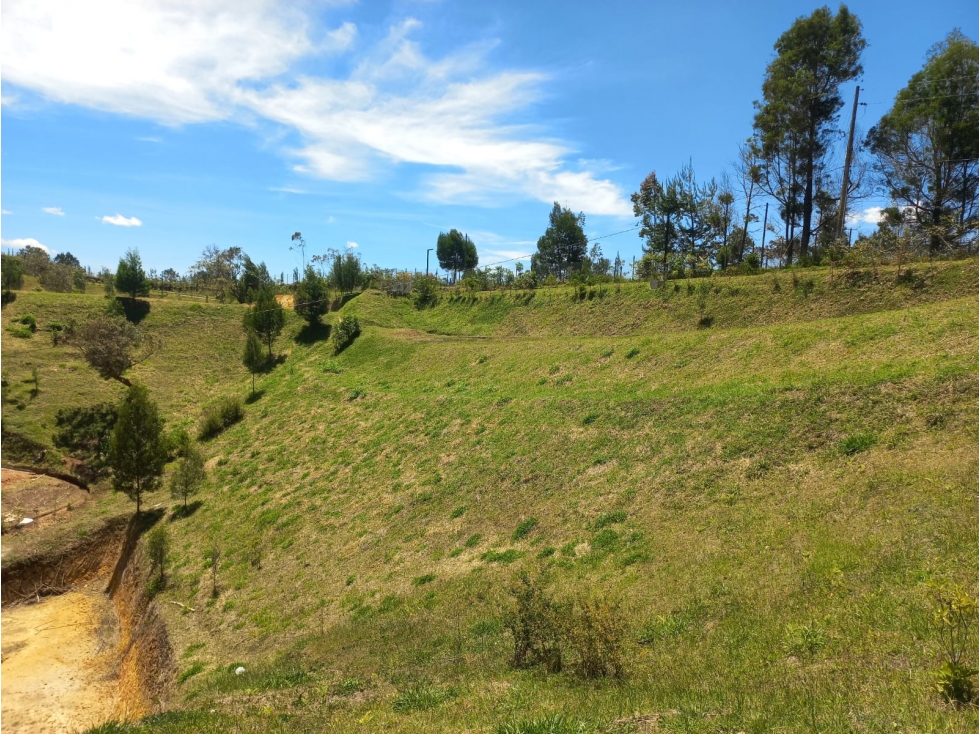 Venta de Lote N°6 en Parcelación Natura Arrayanes — foto 4