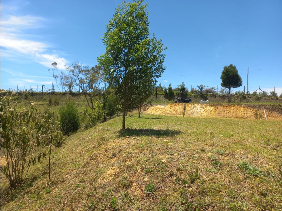 Venta de Lote N°7 en Parcelación Natura Arrayanes — foto 5