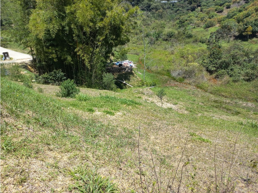 Venta de Lote N°37 en Parcelación Natura Arrayanes — foto 4
