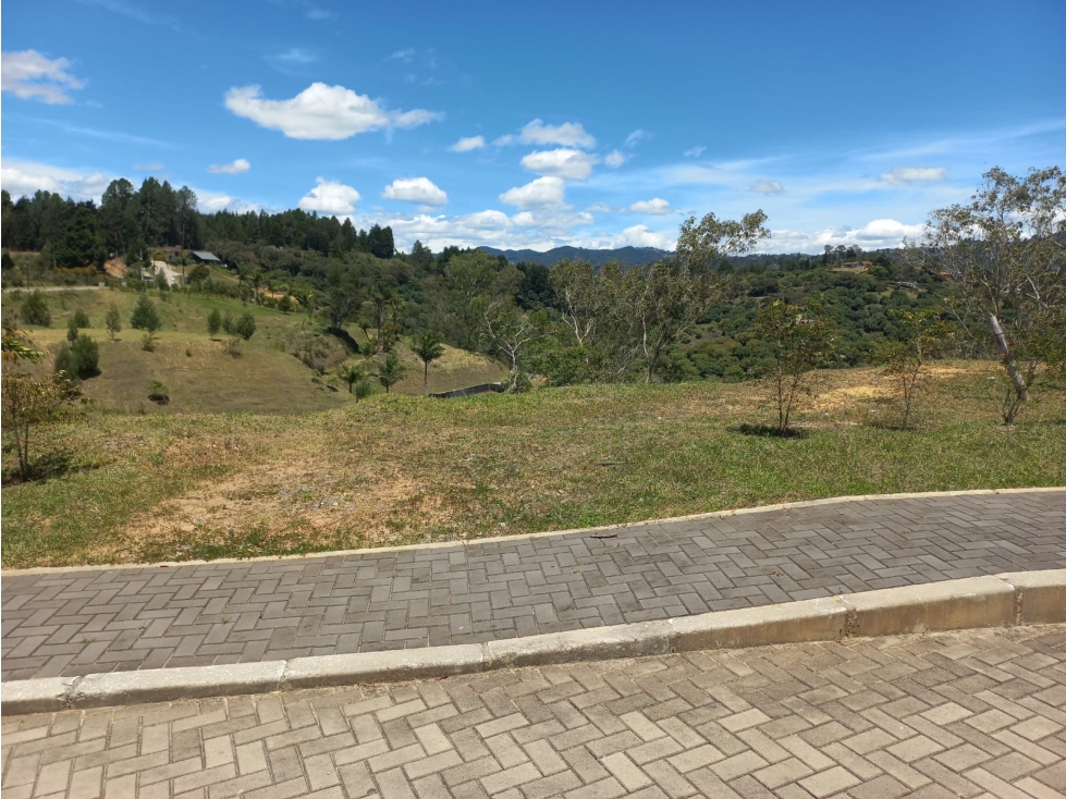 Venta de Lote N°9 en Parcelación Natura Arrayanes — foto 5