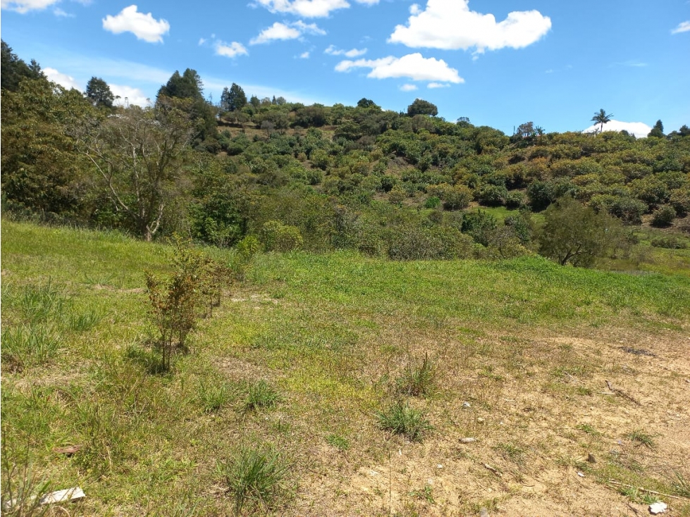Venta de Lote N°41 en Parcelación Natura Arrayanes — foto 4