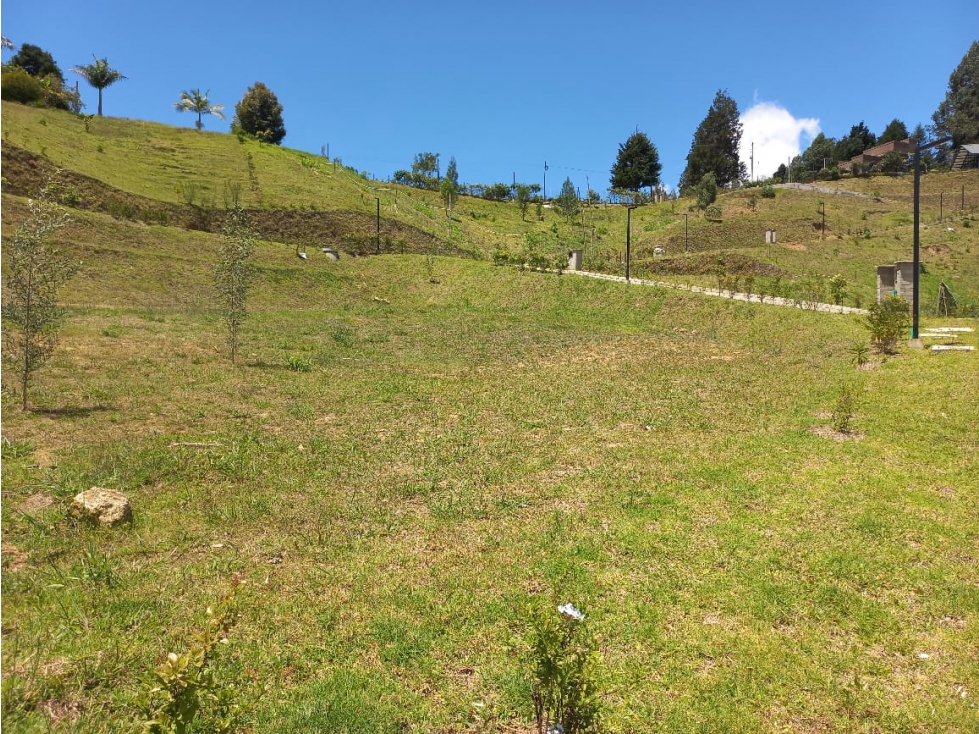 Venta de Lote N°39 en Parcelación Natura Arrayanes — foto 3