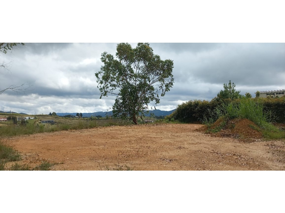 Venta Lote N° B4 Parcelación Pontevedra — foto 4