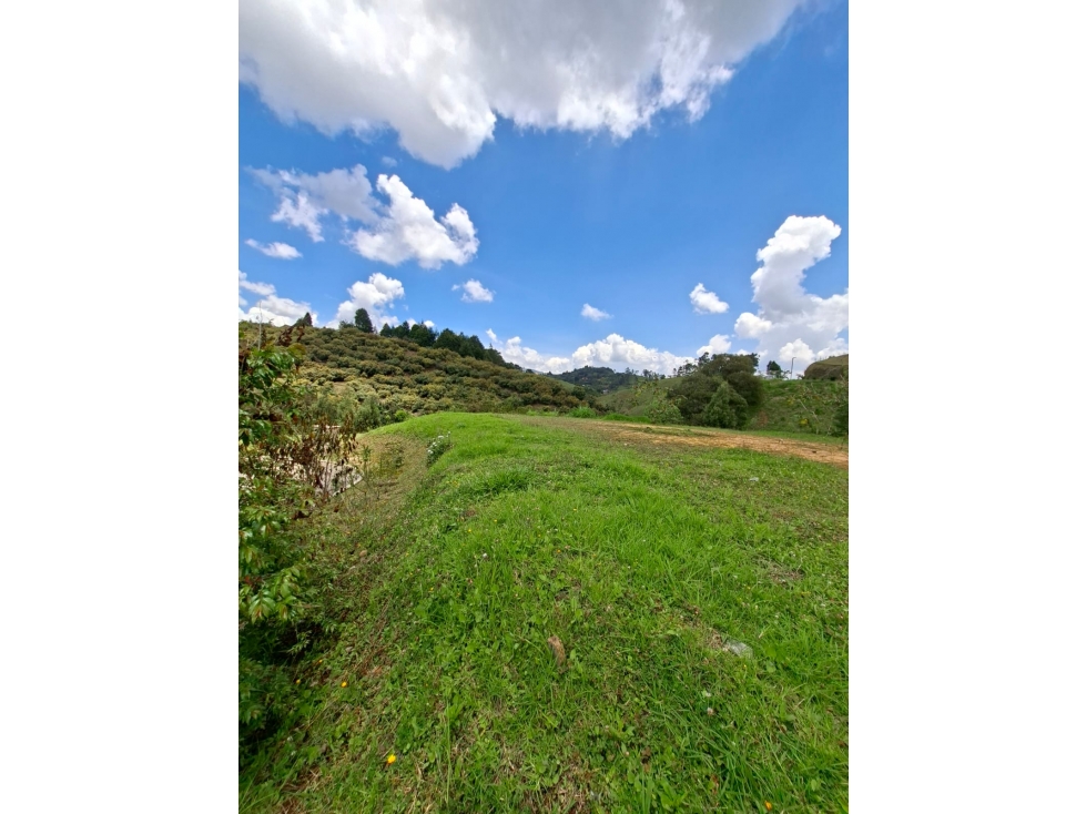 Venta de Lote N°28 en Parcelación Natura Arrayanes — foto 5