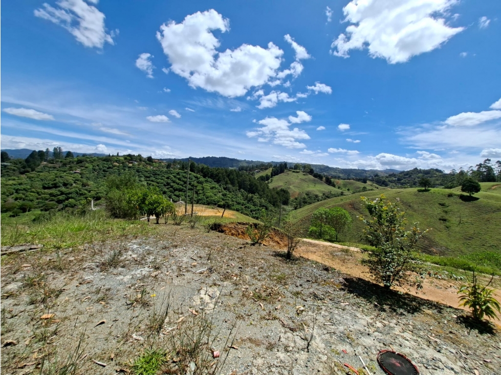 Venta de Lote N°12 en Parcelación Natura Arrayanes — foto 5
