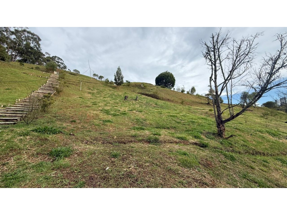 Venta de Lote N°15 en Parcelación Natura Arrayanes — foto 5
