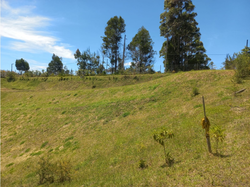 Venta de Lote N°6 en Parcelación Natura Arrayanes — foto 5