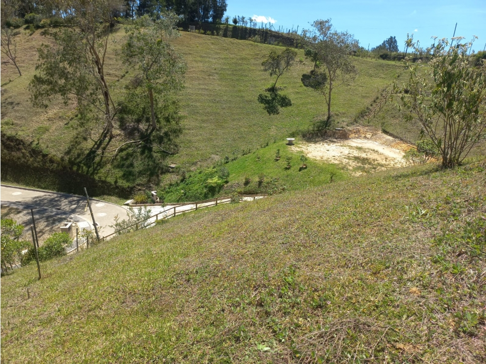 Venta de Lote N°7 en Parcelación Natura Arrayanes — foto 6