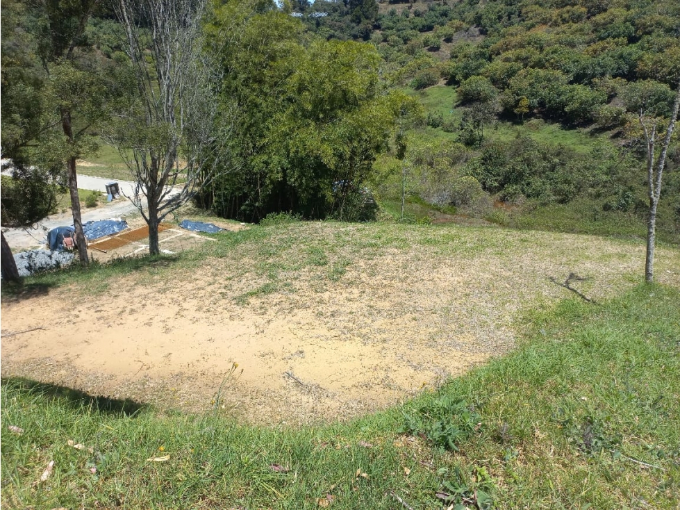 Venta de Lote N°37 en Parcelación Natura Arrayanes — foto 5
