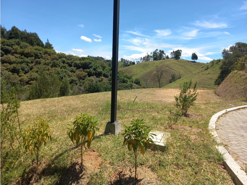 Venta de Lote N°28 en Parcelación Natura Arrayanes — foto 3