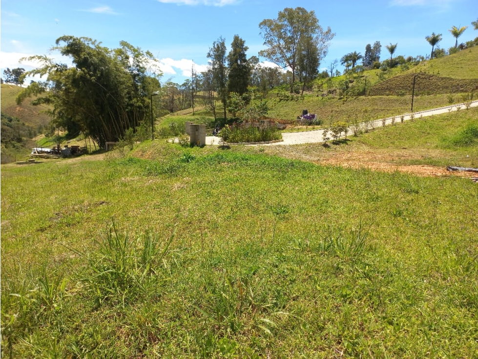 Venta de Lote N°41 en Parcelación Natura Arrayanes — foto 5