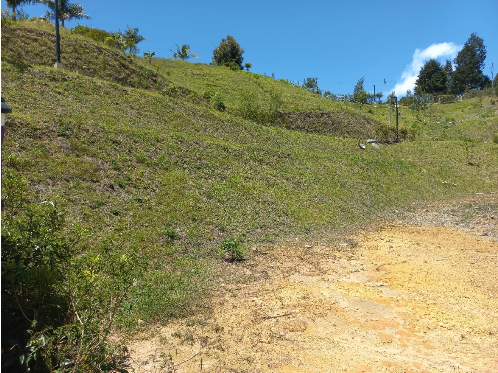 Venta de Lote N°39 en Parcelación Natura Arrayanes — foto 4