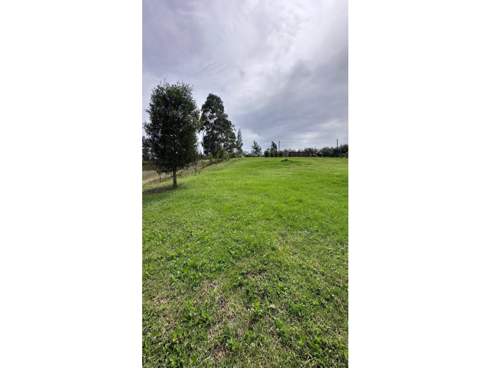 Venta de Lote N°5 en Parcelación Natura Arrayanes — foto 5