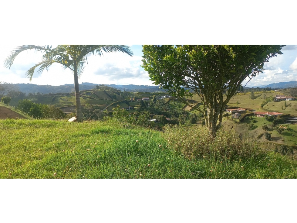 Venta Lote N° B7 Parcelación Pontevedra — foto 5