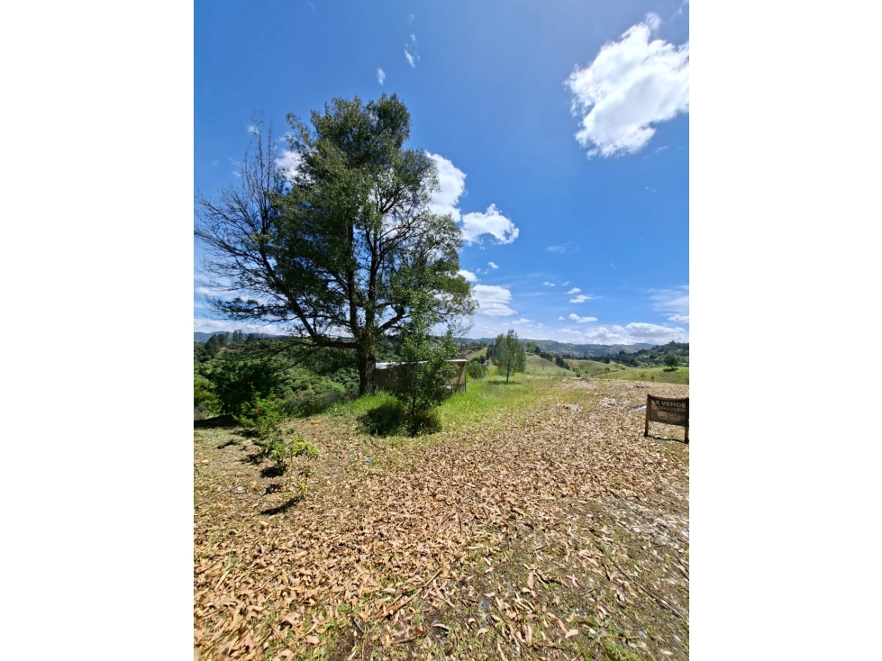 Venta de Lote N°12 en Parcelación Natura Arrayanes — foto 6