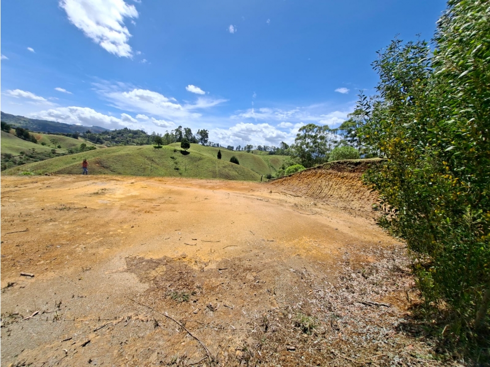 Venta de Lote N°16 en Parcelación Natura Arrayanes — foto 5