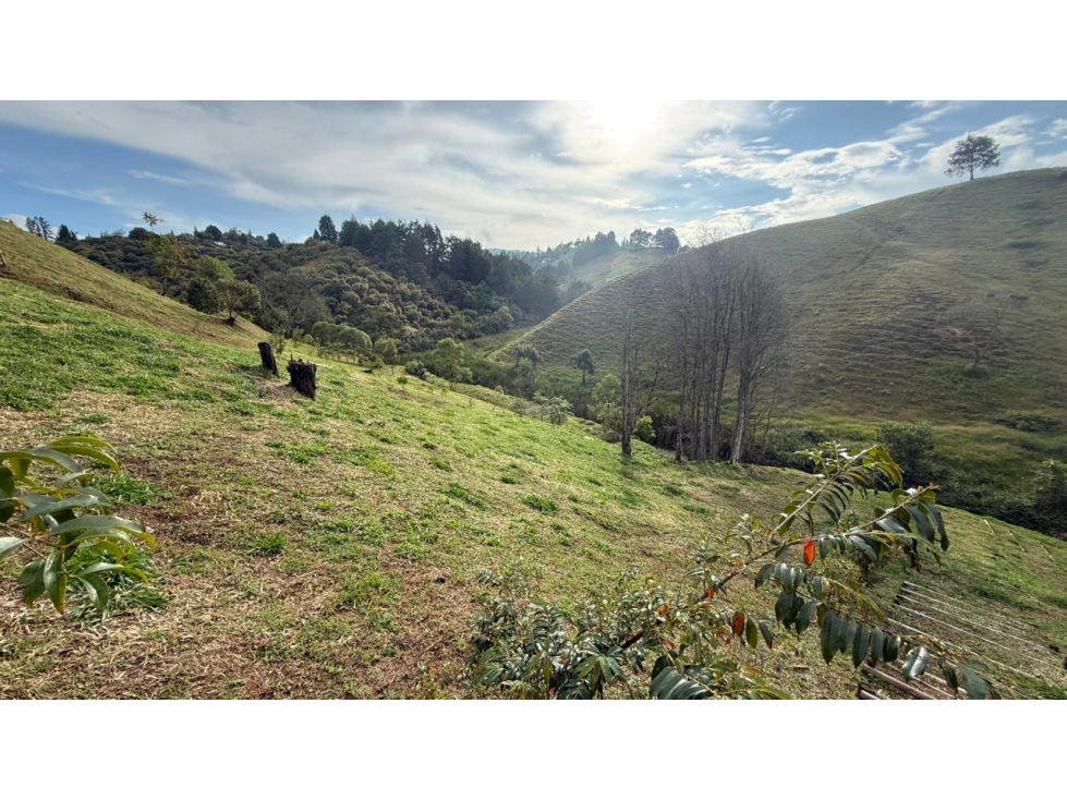 Venta de Lote N°15 en Parcelación Natura Arrayanes — foto 6