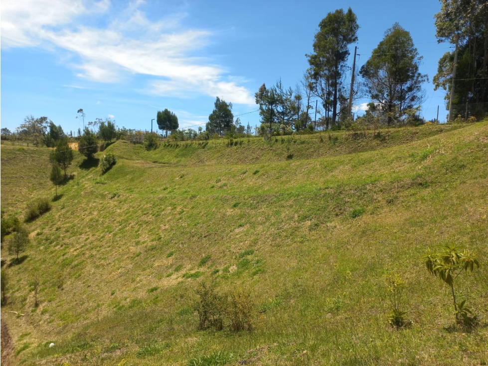 Venta de Lote N°6 en Parcelación Natura Arrayanes — foto 6