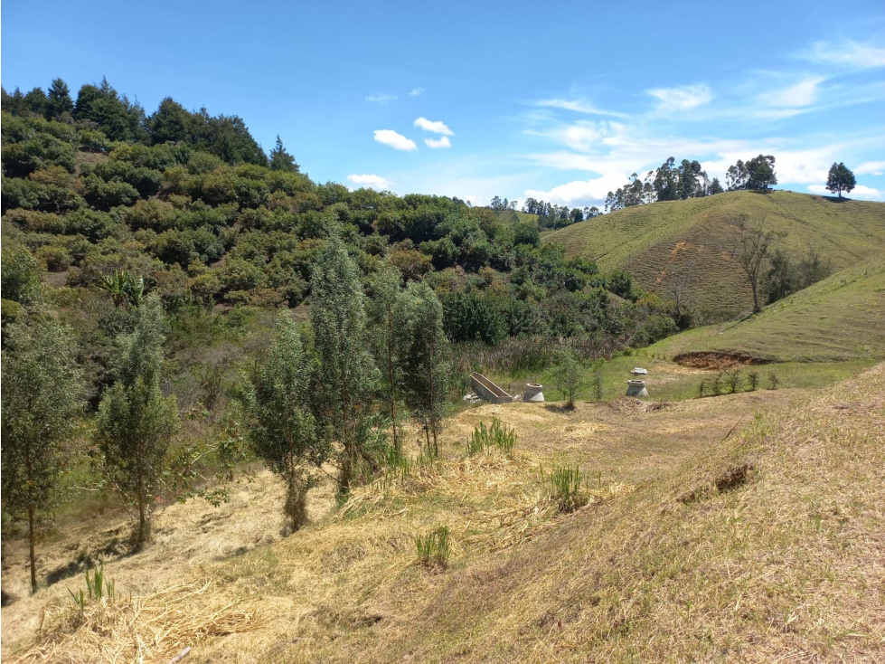 Venta de Lote N°28 en Parcelación Natura Arrayanes — foto 6