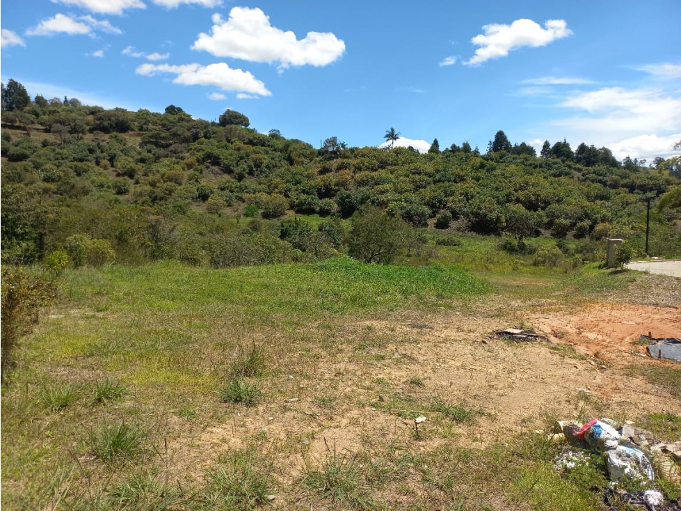 Venta de Lote N°41 en Parcelación Natura Arrayanes — foto 6