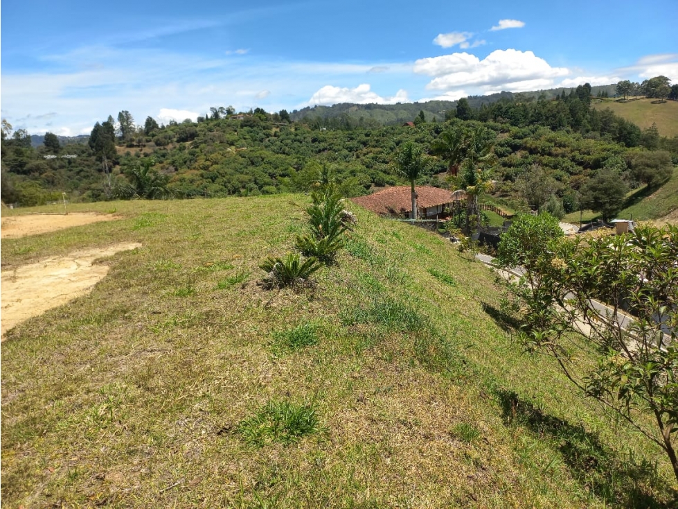 Venta de Lote N°32 en Parcelación Natura Arrayanes — foto 6