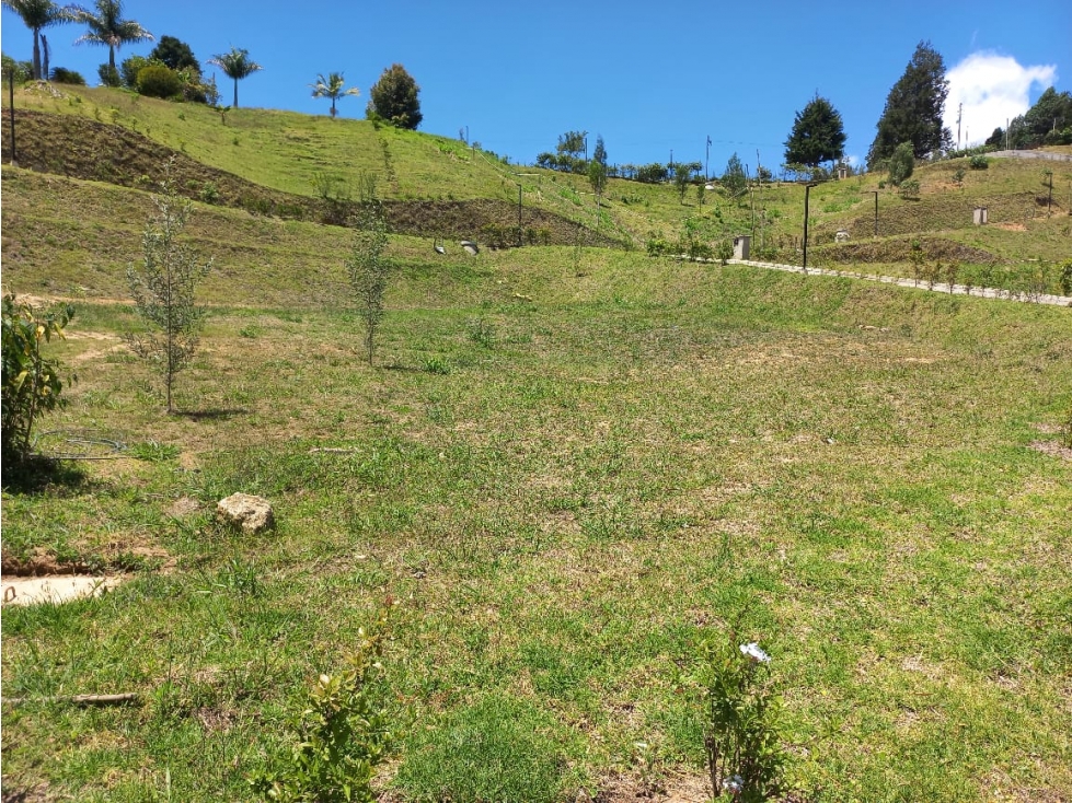 Venta de Lote N°39 en Parcelación Natura Arrayanes — foto 5