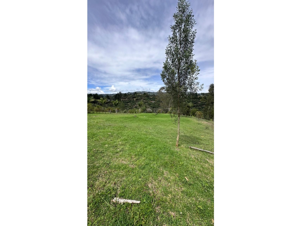 Venta de Lote N°5 en Parcelación Natura Arrayanes — foto 6