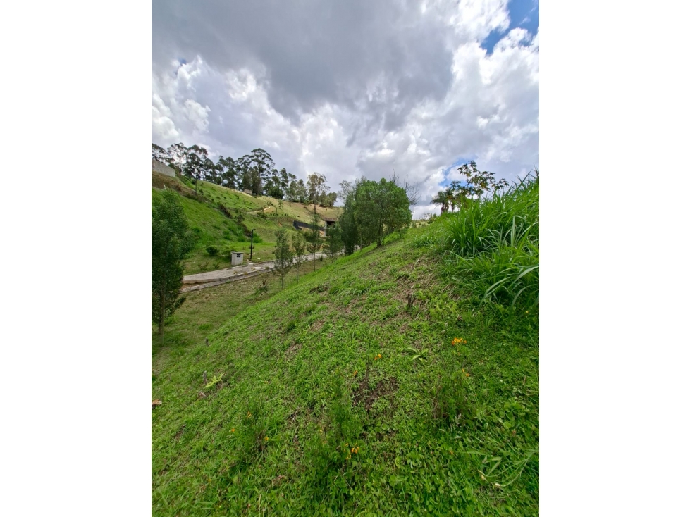 Venta de Lote N°28 en Parcelación Natura Arrayanes — foto 6